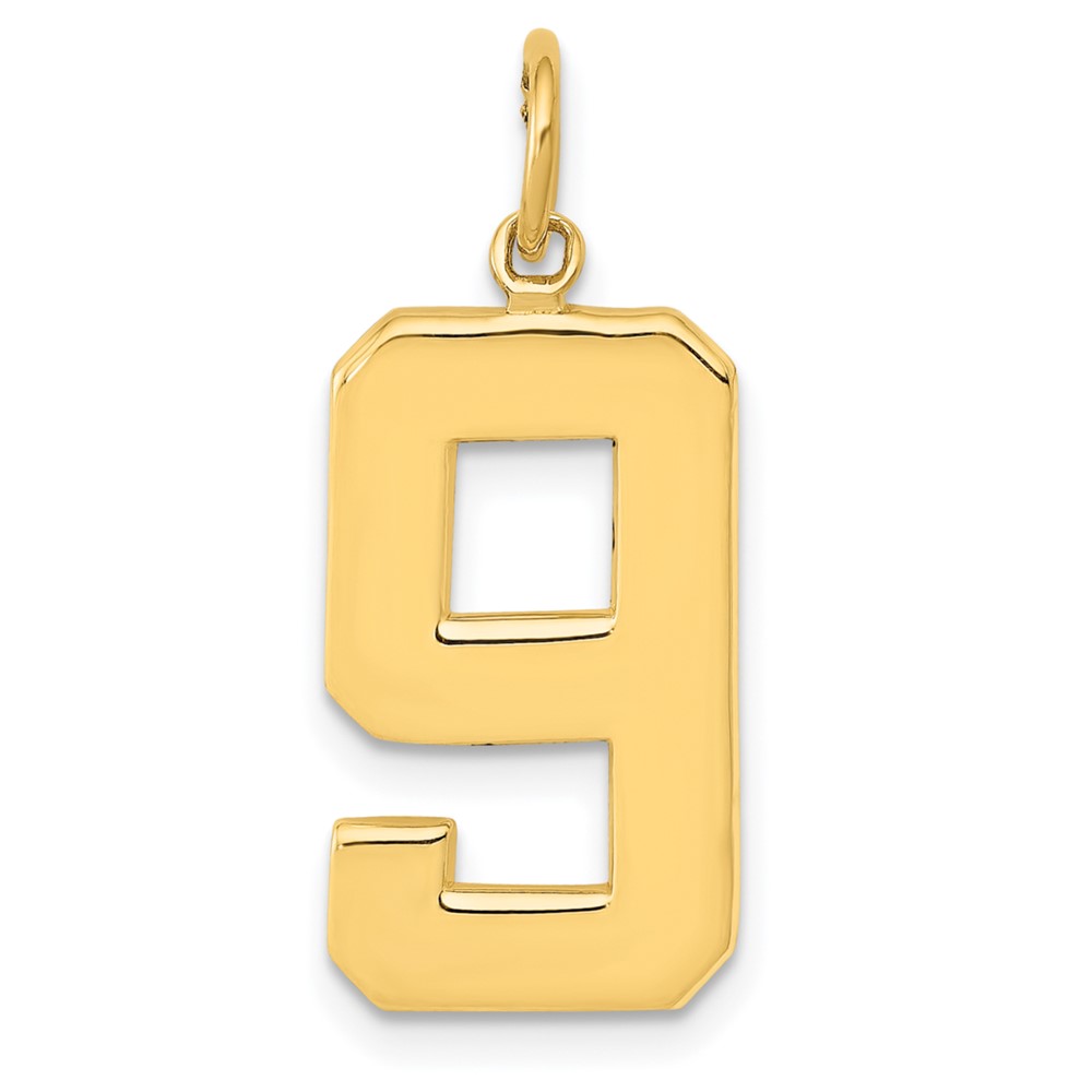 14k Yellow Gold, Athletic Collection, Polished Number 9 Pendant