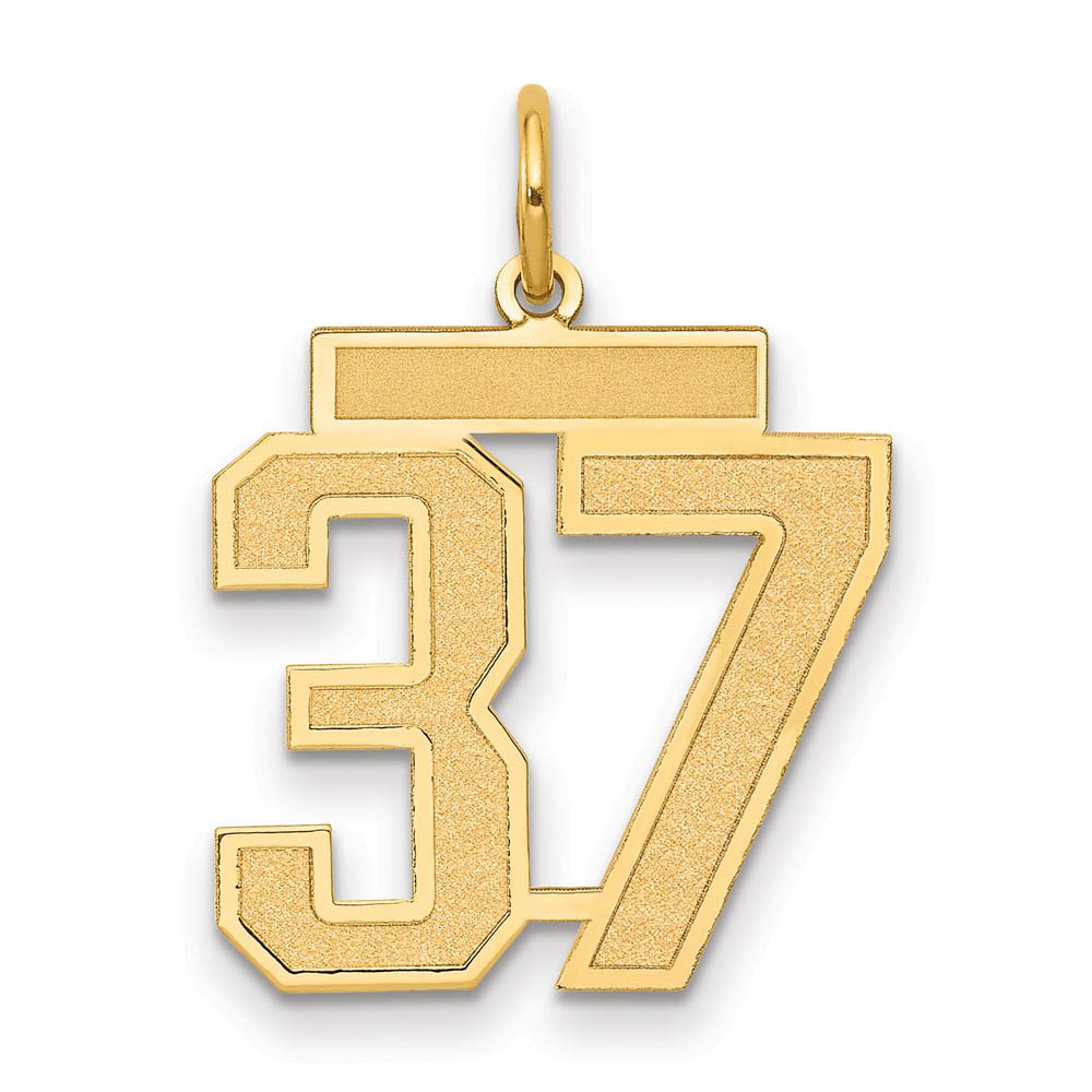 14k Yellow Gold, Jersey Collection, Number 37 Pendant