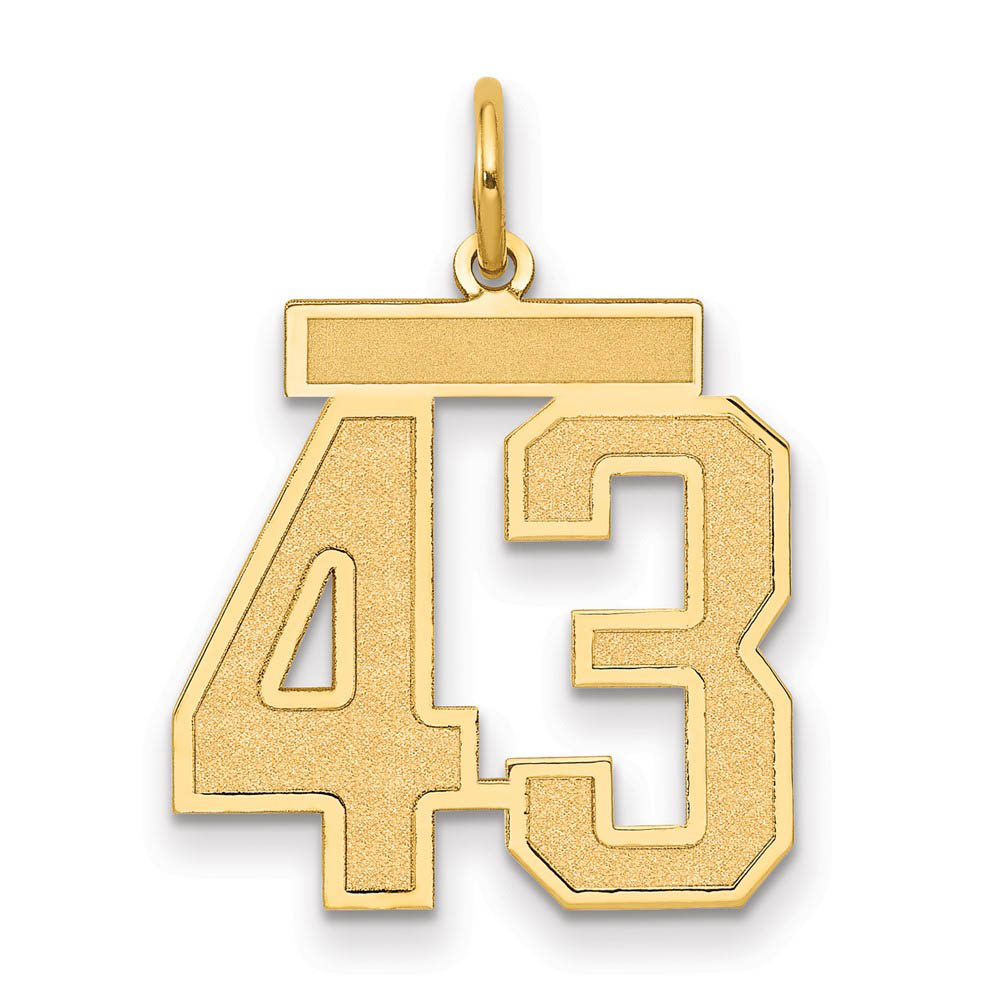 14k Yellow Gold, Jersey Collection, Number 43 Pendant
