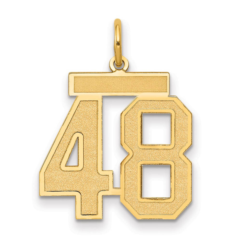 14k Yellow Gold, Jersey Collection, Number 48 Pendant