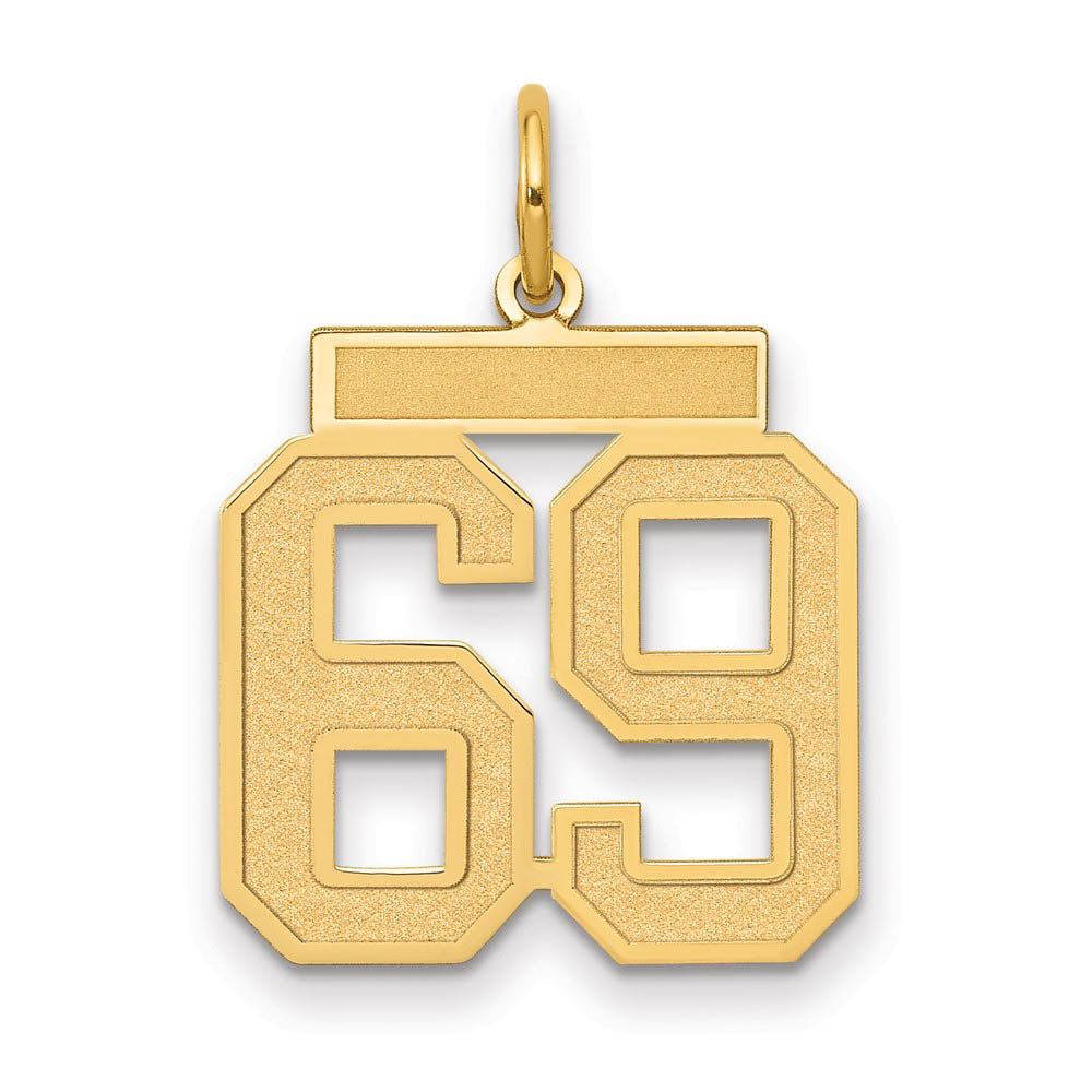 14k Yellow Gold, Jersey Collection, Number 69 Pendant