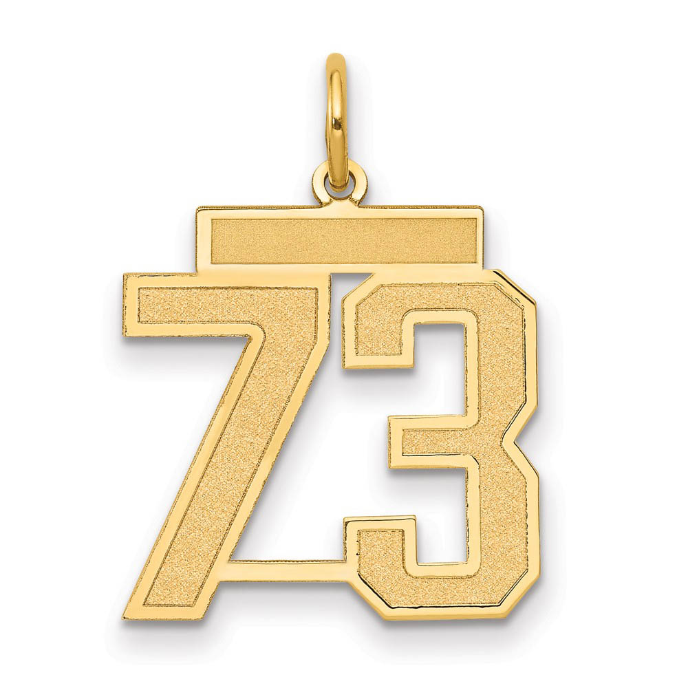 14k Yellow Gold, Jersey Collection, Number 73 Pendant