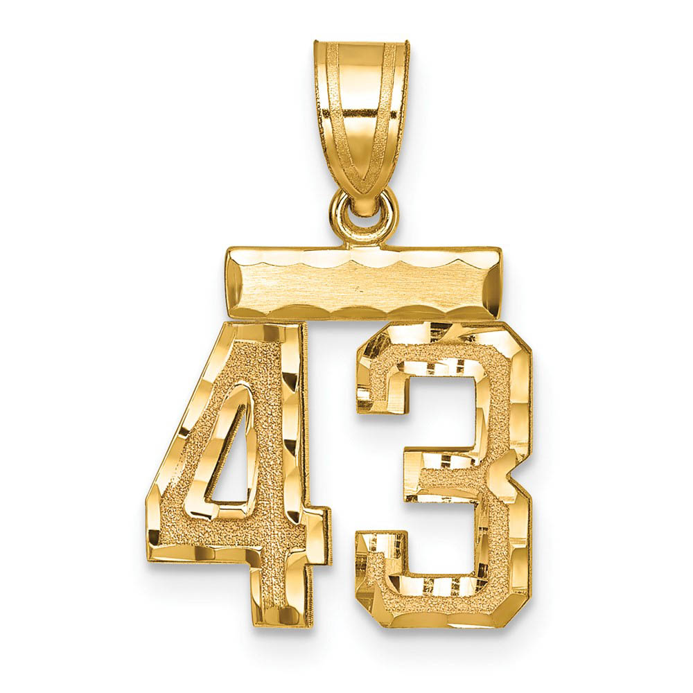 14k Yellow Gold, Varsity Collection, D/C Pendant Number 43
