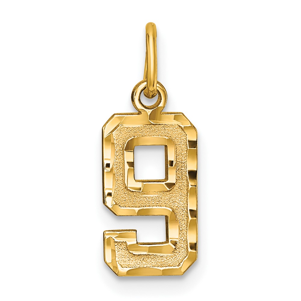 14k Yellow Gold, Varsity Collection, D/C Pendant Number 9