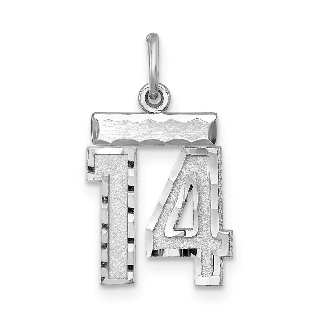 Sterling Silver, Varsity Collection, D/C Pendant, Number 14