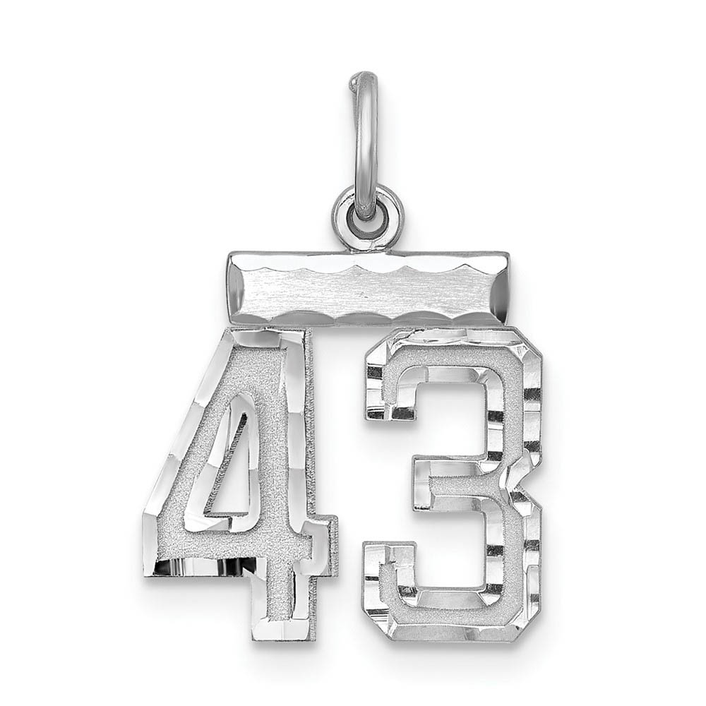Sterling Silver, Varsity Collection, D/C Pendant, Number 43