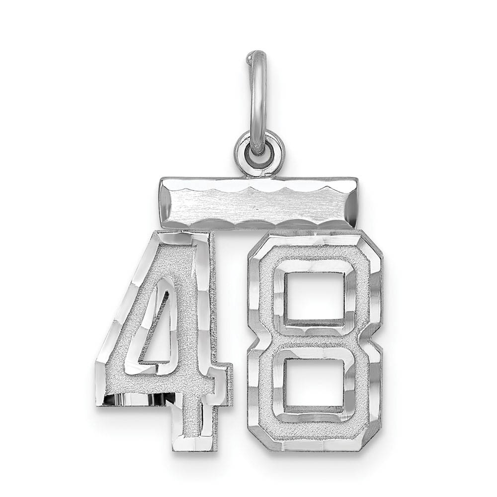 Sterling Silver, Varsity Collection, D/C Pendant, Number 48