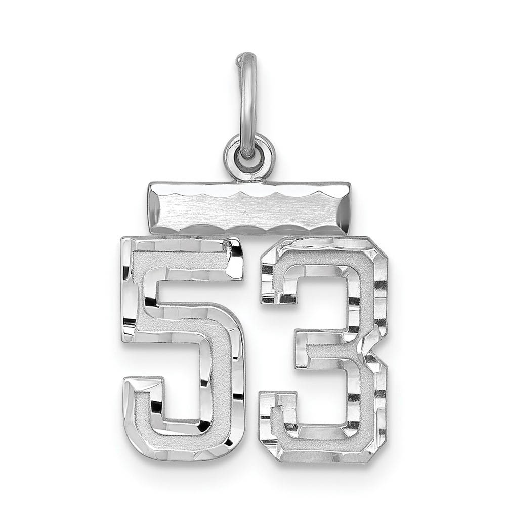Sterling Silver, Varsity Collection, D/C Pendant, Number 53