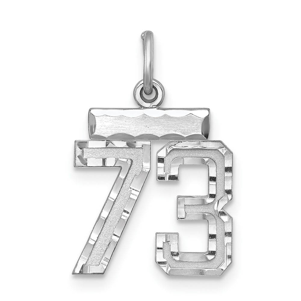 Sterling Silver, Varsity Collection, D/C Pendant, Number 73