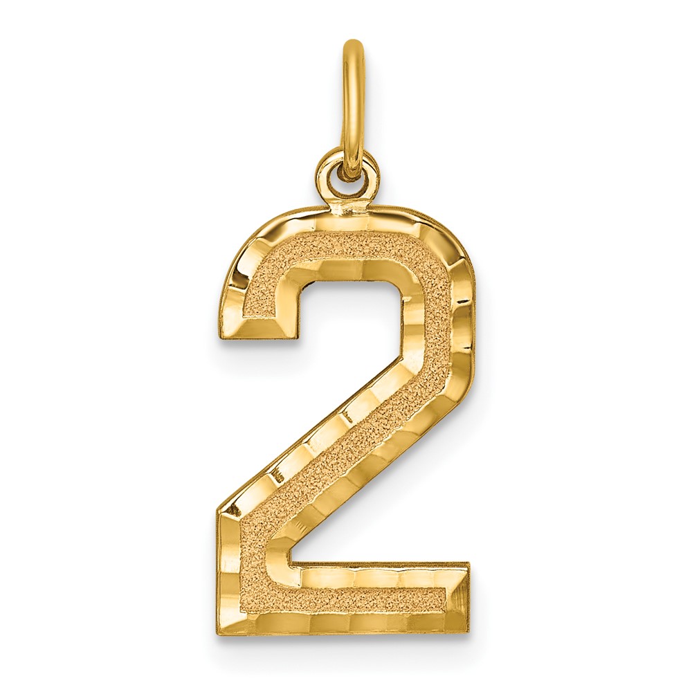 14k Yellow Gold, Varsity Collection, D/C Pendant Number 2