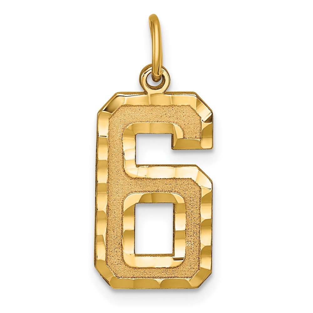 14k Yellow Gold, Varsity Collection, D/C Pendant Number 6