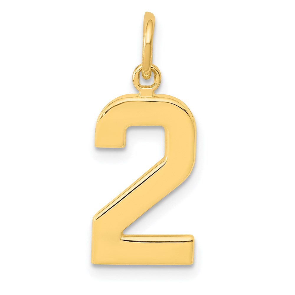 14k Yellow Gold, Athletic Collection Polished Number 2 Pendant