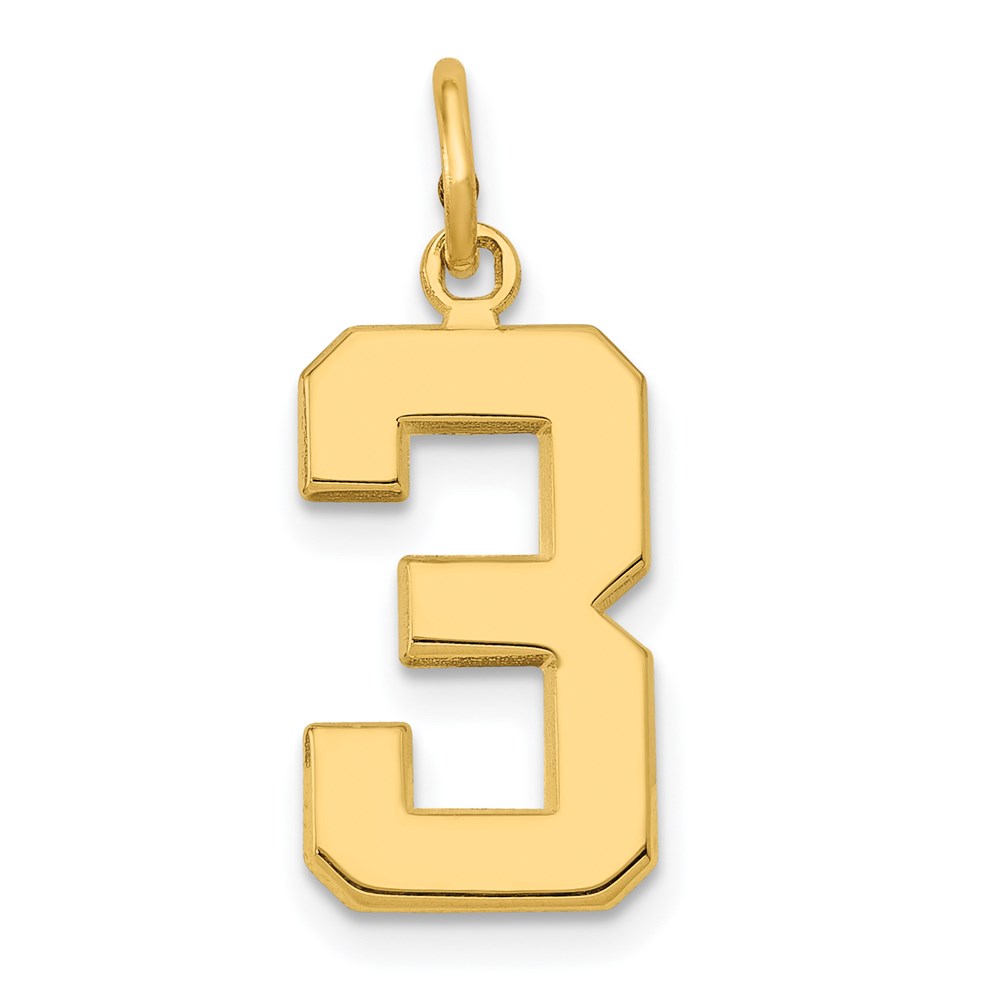 14k Yellow Gold, Athletic Collection Polished Number 3 Pendant