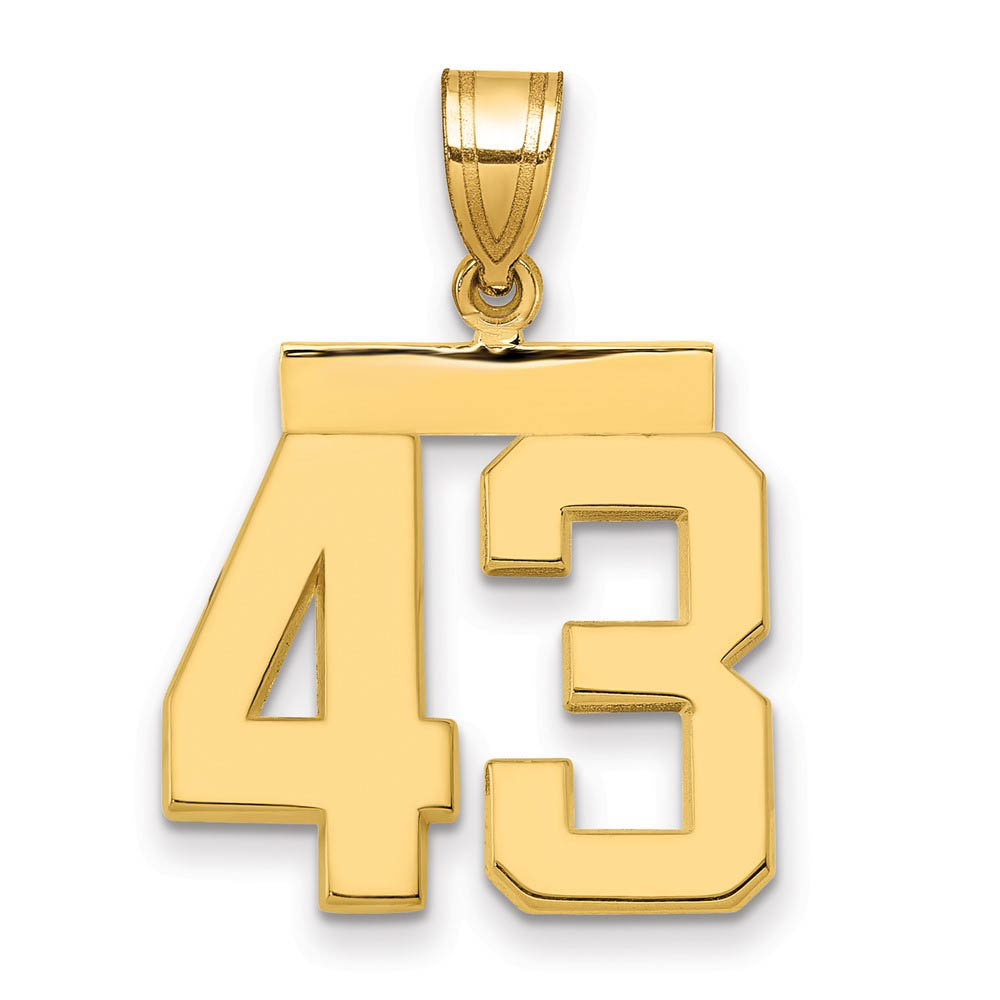 14k Yellow Gold, Athletic Collection Polished Number 43 Pendant