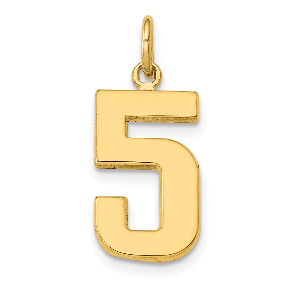 14k Yellow Gold, Athletic Collection Polished Number 5 Pendant