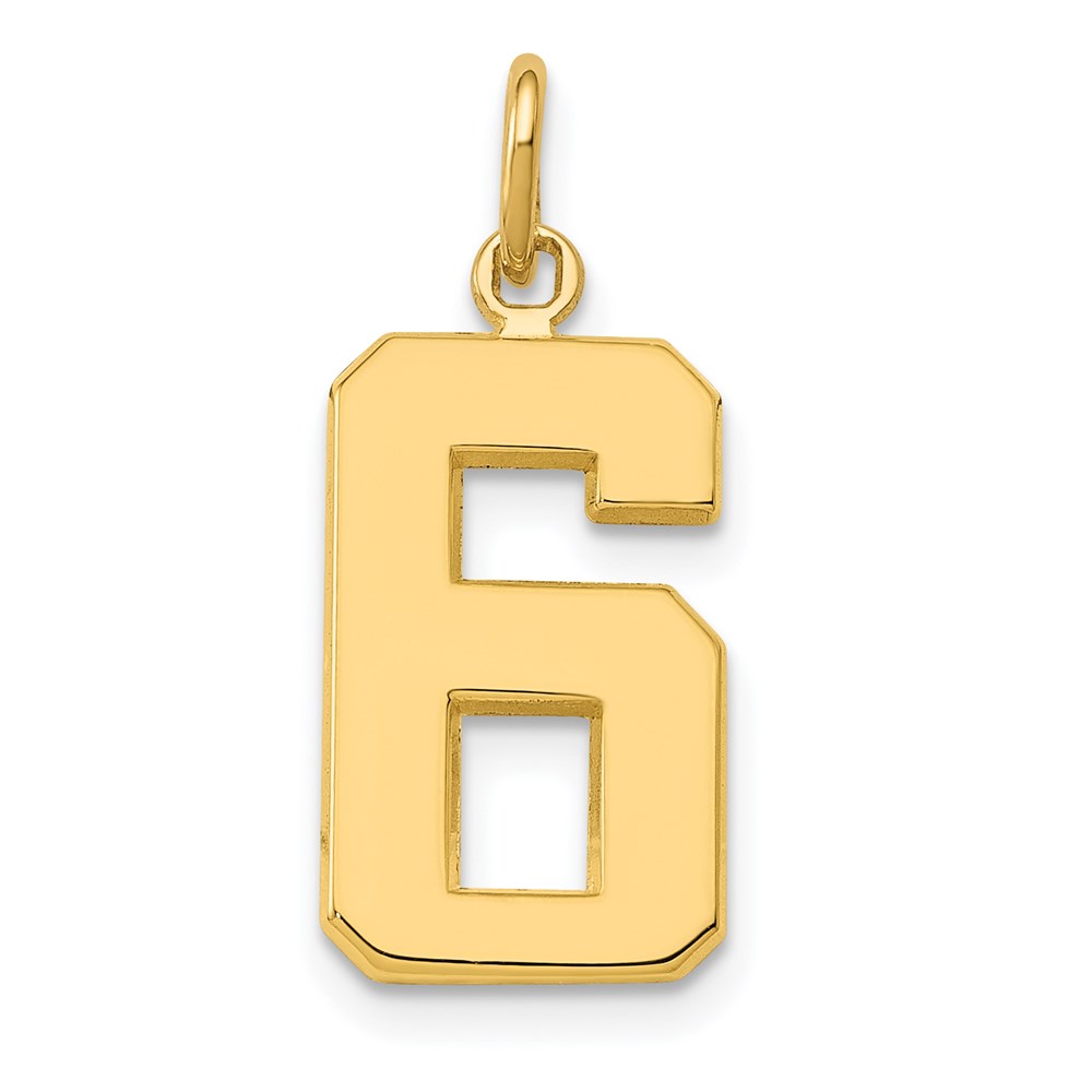 14k Yellow Gold, Athletic Collection Polished Number 6 Pendant