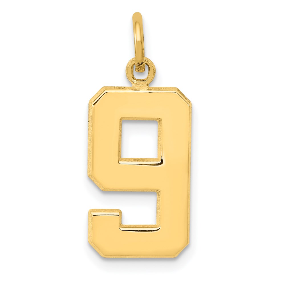 14k Yellow Gold, Athletic Collection Polished Number 9 Pendant