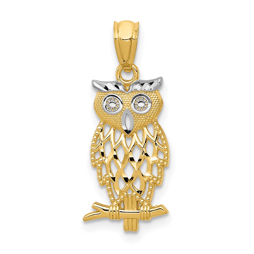 14K /& Rhodium Polished /& Textured Owl Pendant