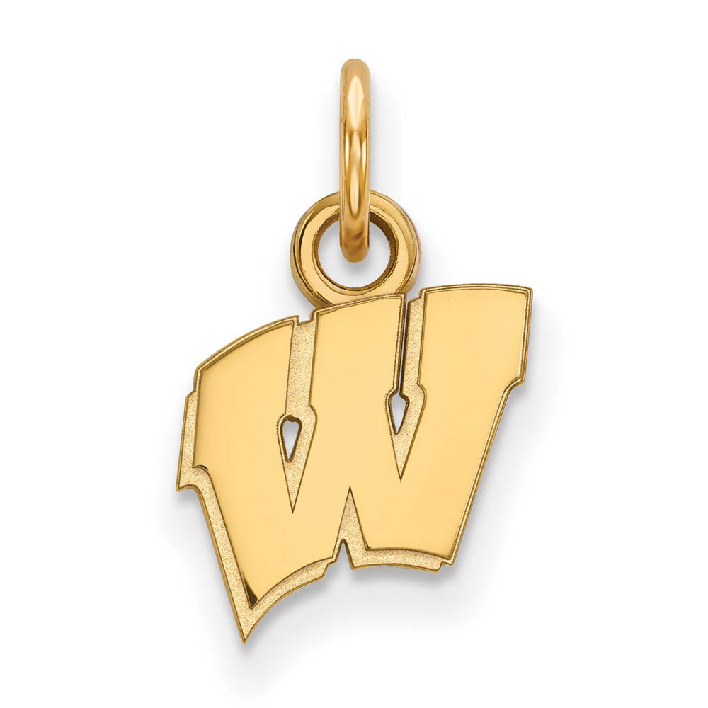 10k Yellow Gold U. of Wisconsin (Tiny) Initial W Charm or Pendant