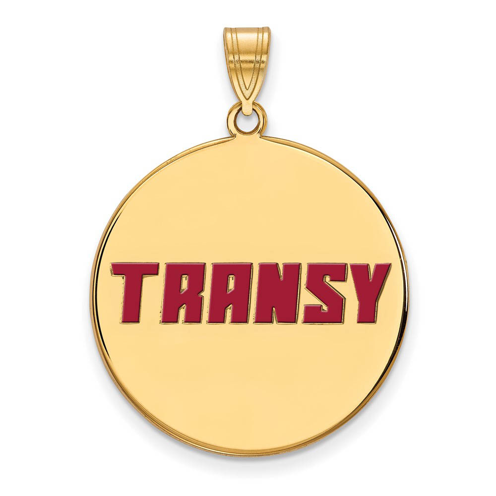 14k Gold Plated Silver Transylvania U. Enamel Disc Pendant