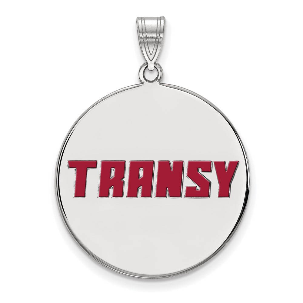 Sterling Silver Transylvania U. Enamel Disc Pendant