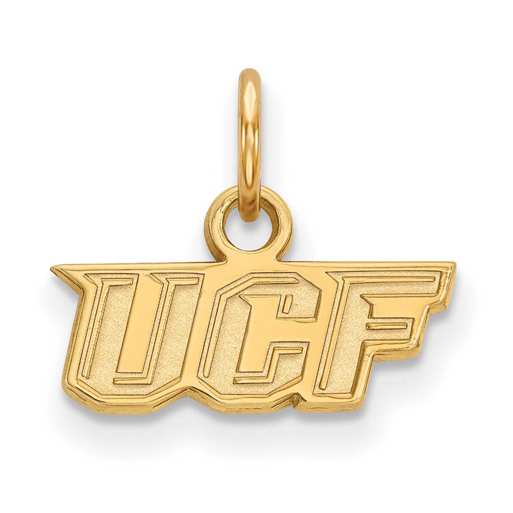 14k Yellow Gold Central Florida (Tiny) Charm or Pendant