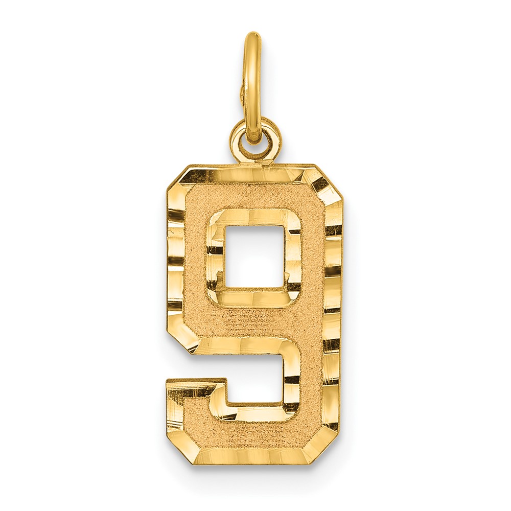 14K Yellow Gold, Varsity Collection, D/C Pendant Number 9