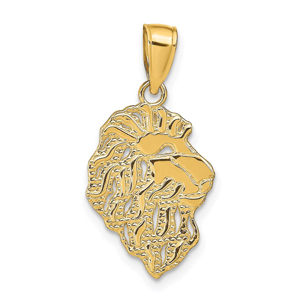 14k Yellow Gold Flat Lion Head Pendant, 13 x 25mm (1/2 x Inch)