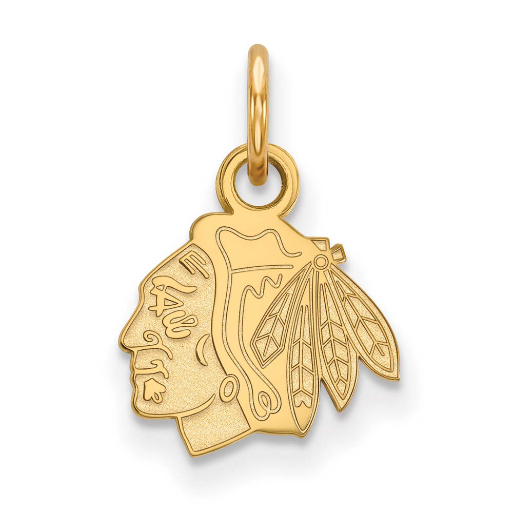 10k Yellow Gold NHL Chicago Blackhawks (Tiny) Charm or Pendant