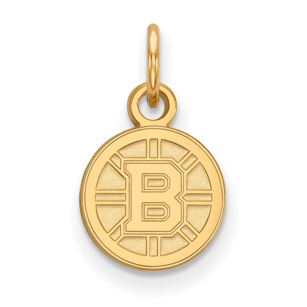 10k Yellow Gold NHL Boston Bruins (Tiny) Disc Charm or Pendant