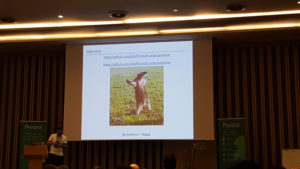 SpringOne Tour - Event-Driven Spring - Helpful Lİnks