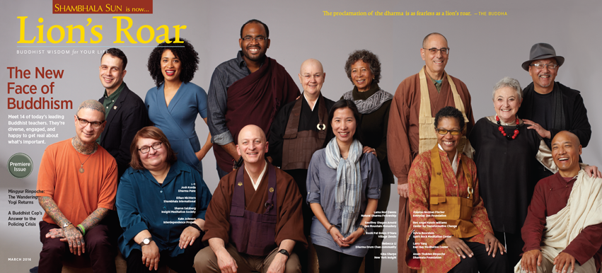 lion's roar new face cover