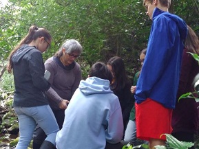 group