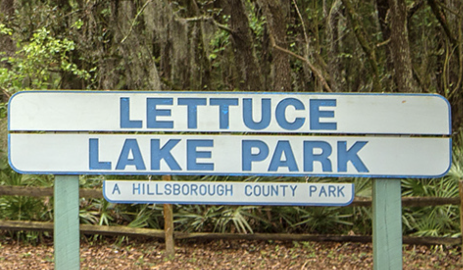 Are Dogs Allowed At Lettuce Lake Park
