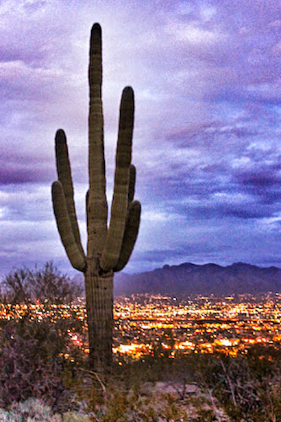 Nightime arrives in Tucson Arizona