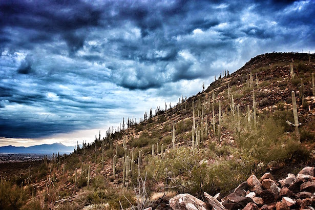 Clouds rolling in over the Sahuaro Cactus
