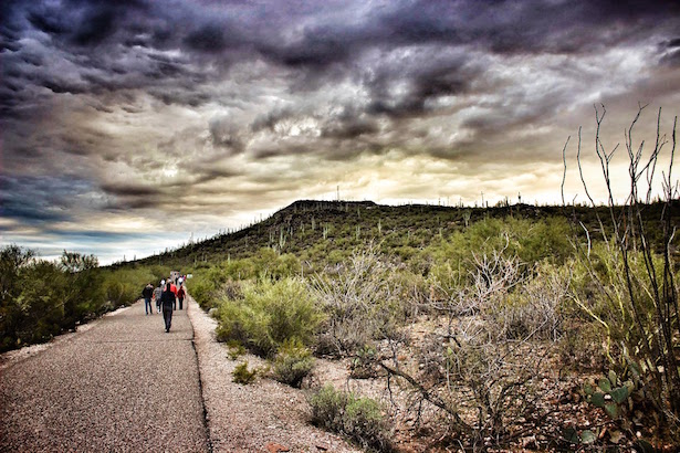 The start of the walk to Tumamoc Hill