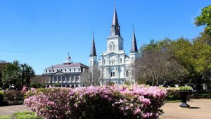 BlueSkyTraveler - Top 10 Movies - New Orleans