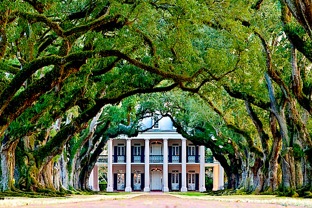 Oak Alley Plantation