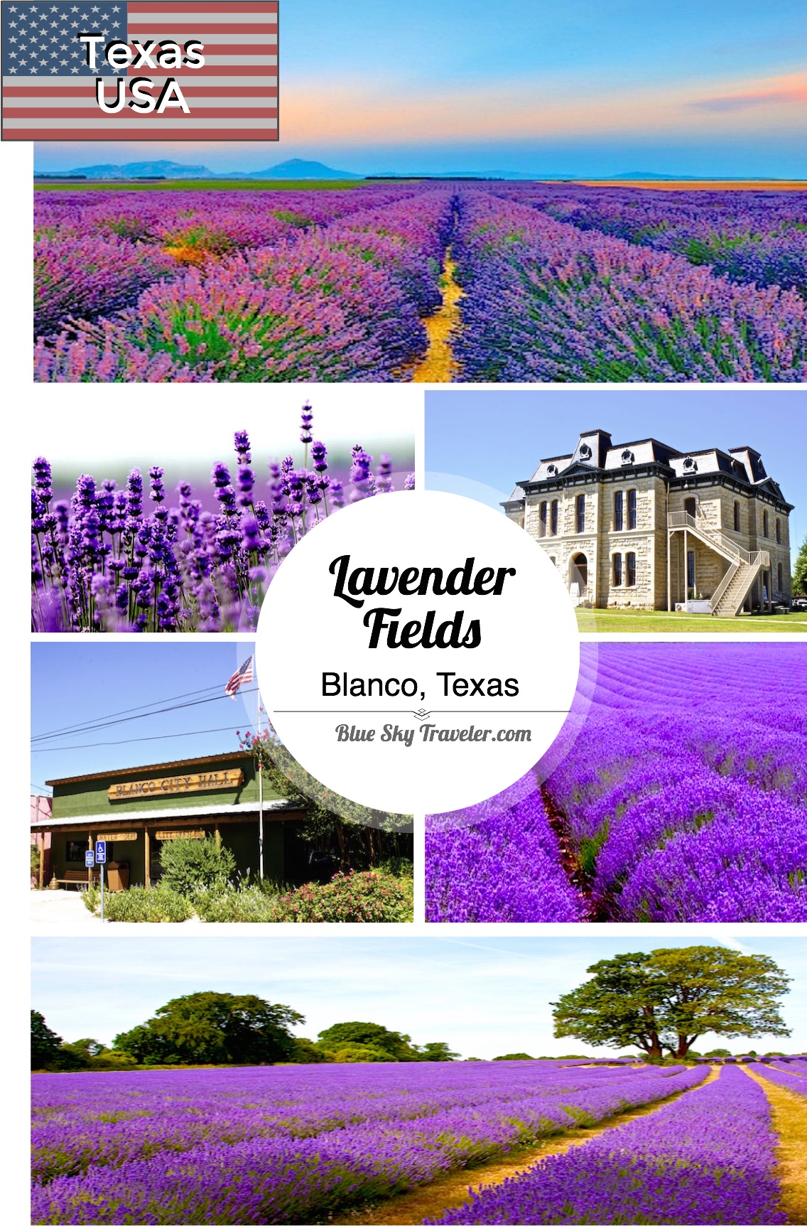 Texas Lavender Fields