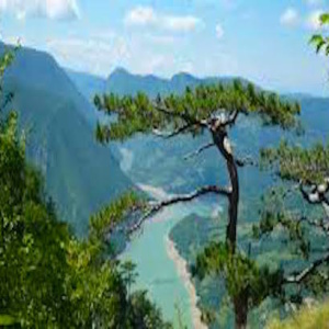 Serbia.Tara