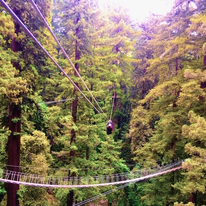 BlueSkyTraveler.com - Santa Cruz - Redwoods