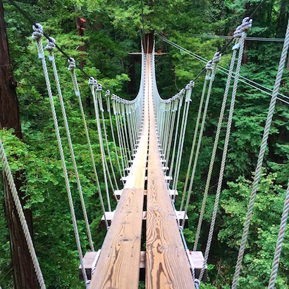 BlueSkyTraveler.com - Santa Cruz - Redwoods