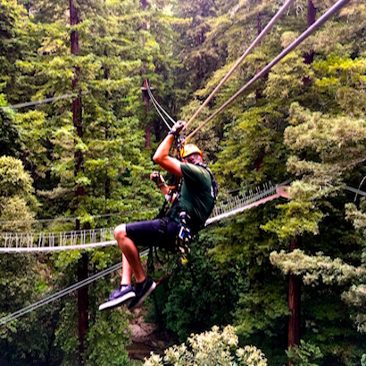 BlueSkyTraveler.com - Santa Cruz - Redwoods
