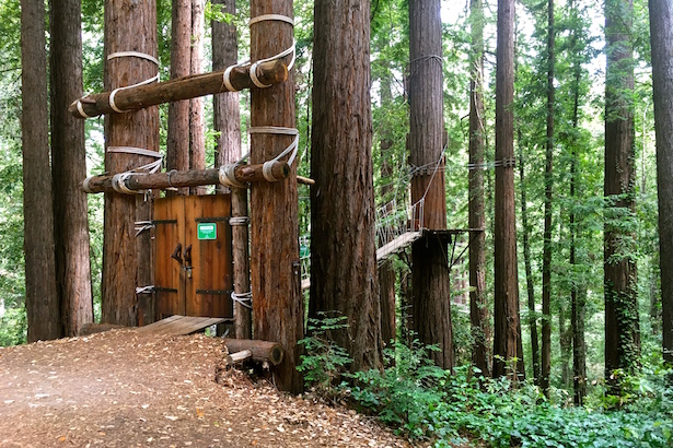 BlueSkyTraveler - Santa Cruz Redwoods