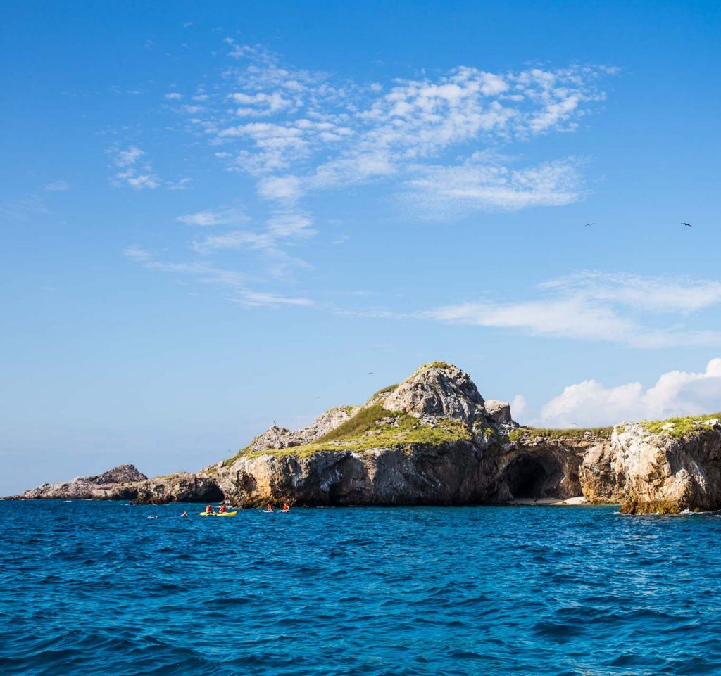 Marine Safari - Punta Mita Expeditions