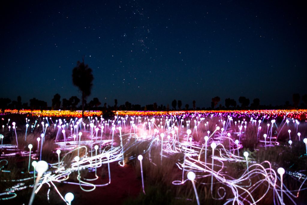 Australia - Uluru - Field of LIght