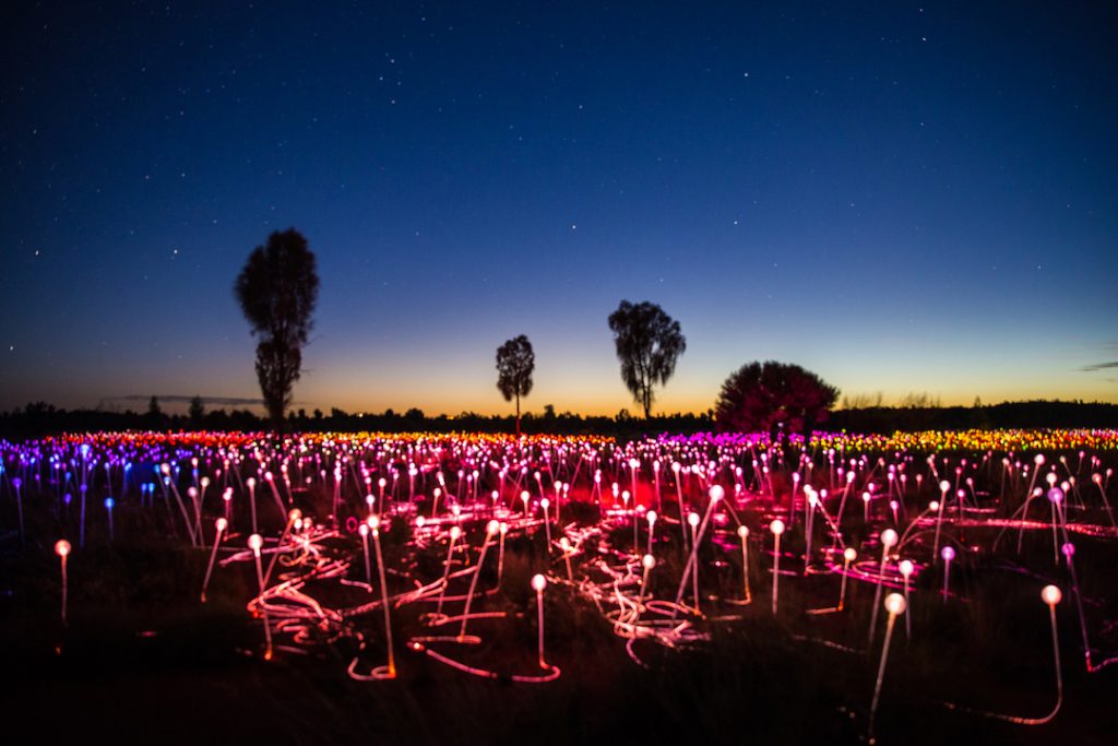 Australia - Uluru - Field of LIght