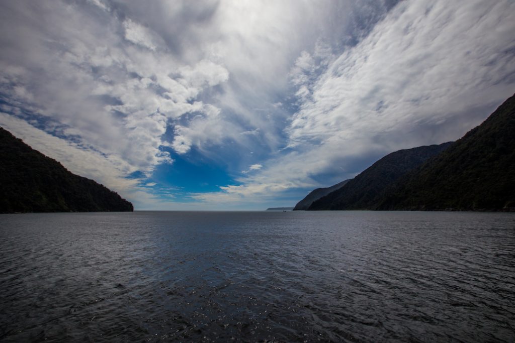Cruising Milford Sound in New Zealand