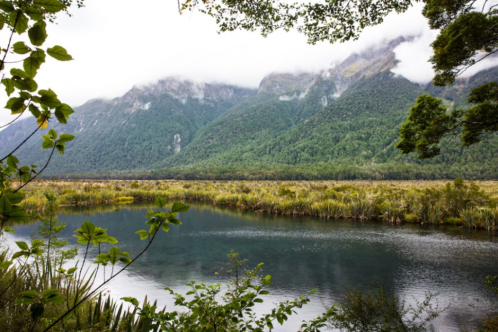 Cruising Milford Sound in New Zealand